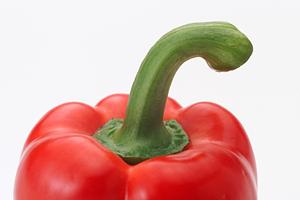 本当においしいお店情報ご案内！