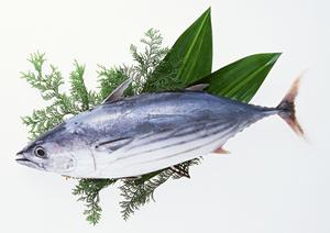 宅配弁当を東京で頼むならここへ