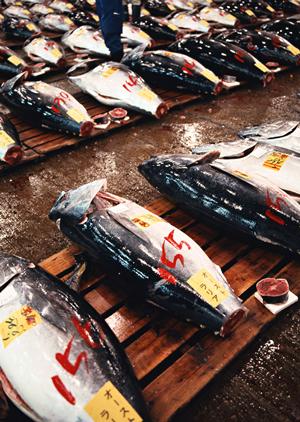 盛岡冷麺と焼肉の殿堂：ぴょんぴょん舎都南店の魅力と詳細ガイド