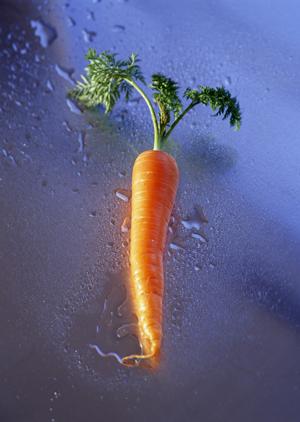 粉末調味料のことなら老舗のこの会社