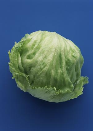 世界一のパエリアを楽しめるミゲルフアニ ラクーア店の魅力